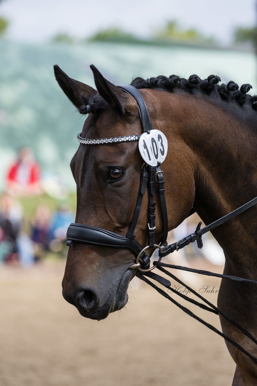 Bild 373 - Pony Akademie Turnier